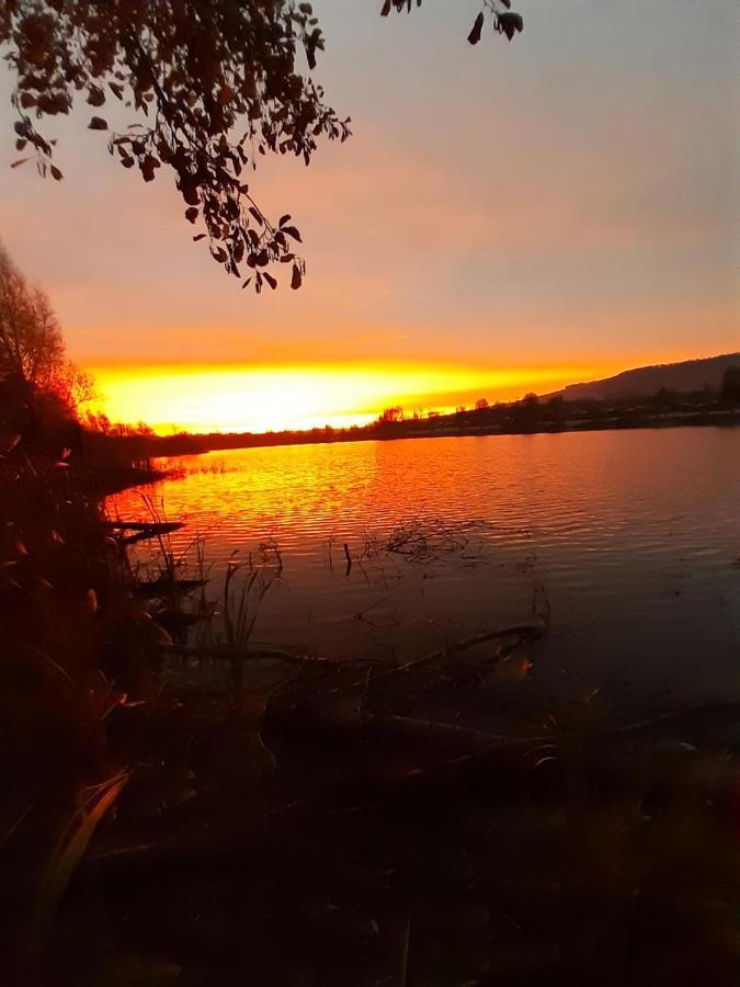 Ferienhaus Am Weserberglandsee Lauenforde Esterno foto